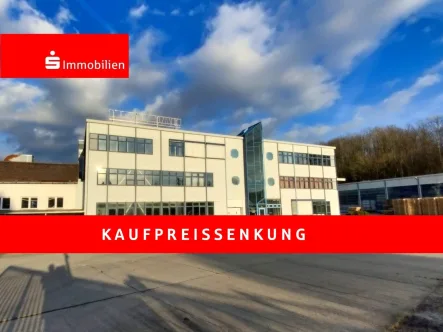  - Halle/Lager/Produktion kaufen in Nobitz - Gewerbeimmobilie mit Produktions- Büro- und Lagerflächen