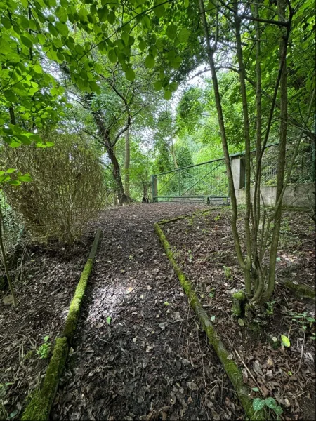 Hauszugang vom Beckersgraben