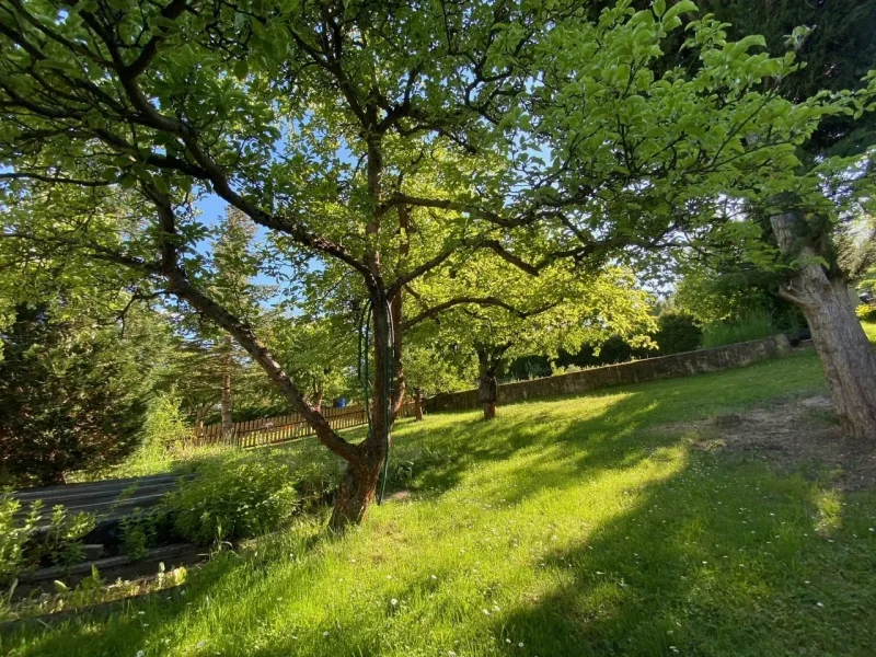 Garten oberer Bereich