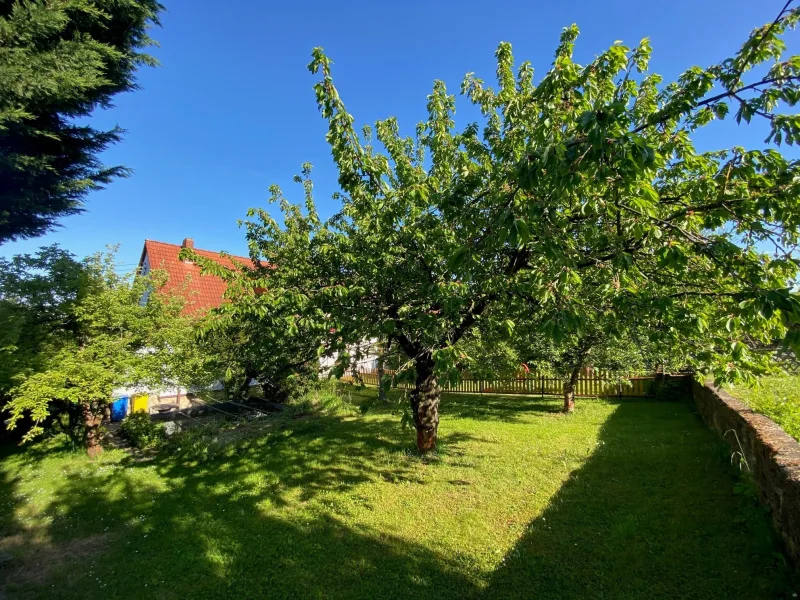 Garten mit Blick zum Haus