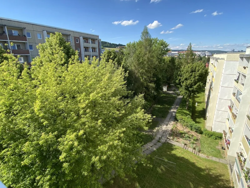 Grüner Blick vom Balkon