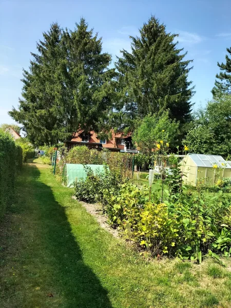 sommerliche Ansicht des gepachteten Gartens