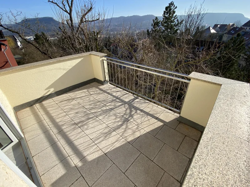 Balkon mit herrlichem Blick auf Jenzig und Fuchsturm