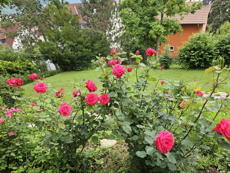 Sehr schöner, gepflegter Garten