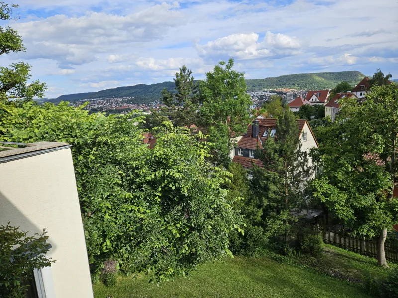 Grüner Blick auf die Stadt