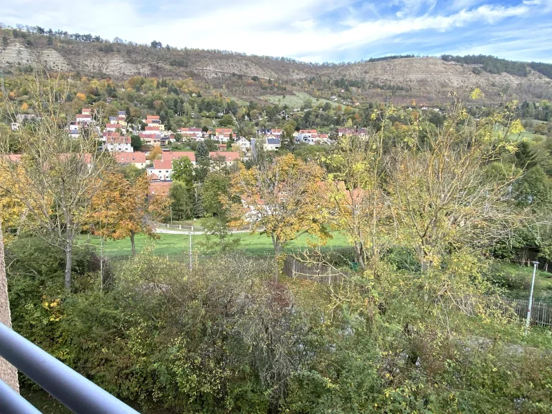 Blick vom Balkon auf den Jenzigrücken