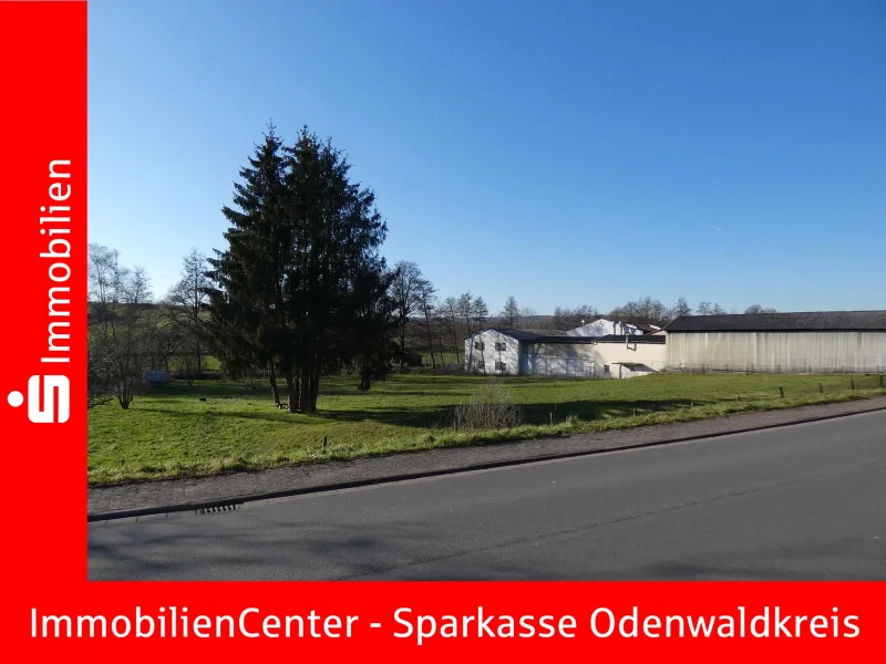 Titelbild - Grundstück kaufen in Brensbach - Ca. 3.700 m² großes und ebenes Baugrundstück in Brensbach/ Stierbach