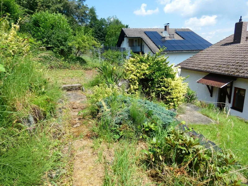 Garten hinter dem Haus