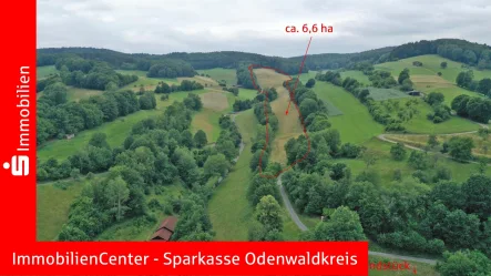 Titelbild - Grundstück kaufen in Oberzent - 6,6 ha Grünland (Wiese) - Arrondierte Fläche! 