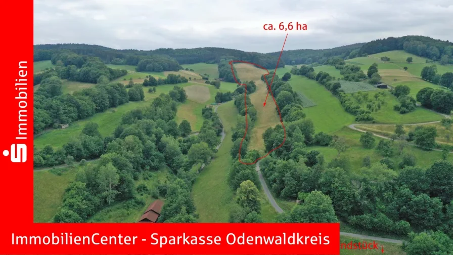 Titelbild - Grundstück kaufen in Oberzent - 6,6 ha Grünland (Wiese) - Arrondierte Fläche! 