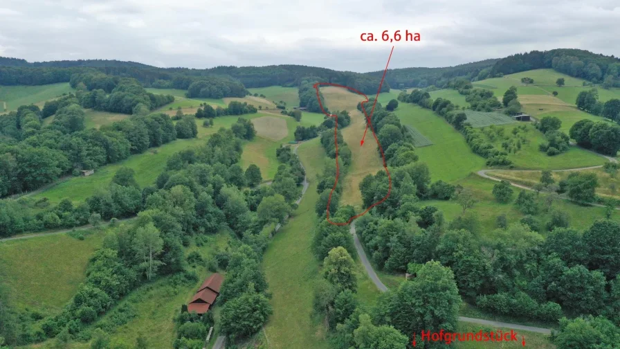 Grünland ca. 6,6 ha