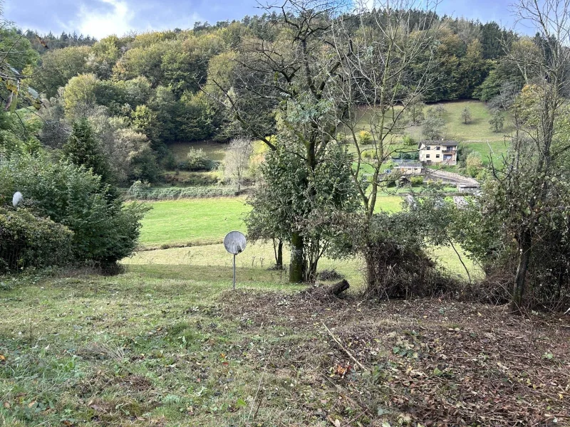 Blick auf die Fläche im Tal