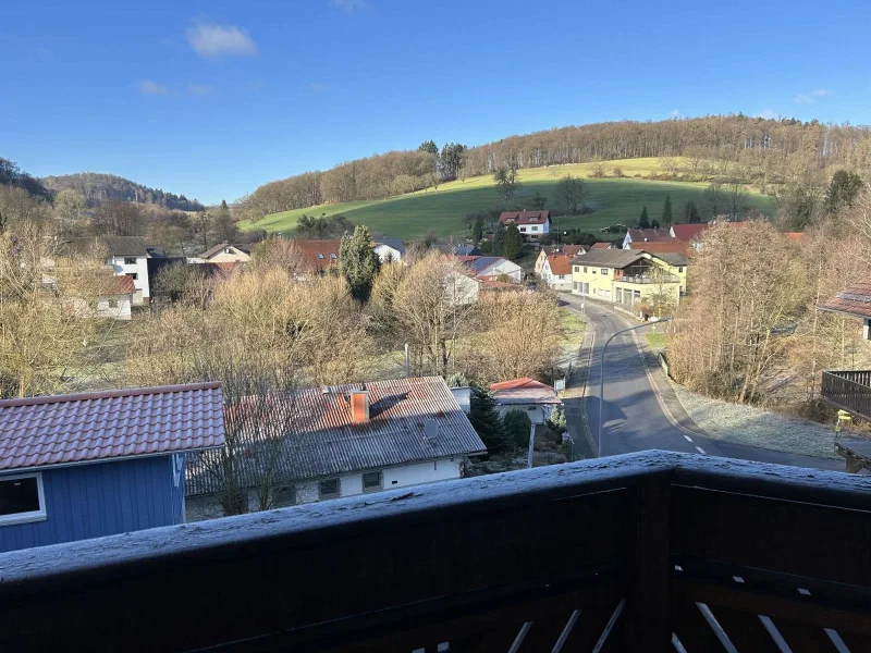 Ausbllick vom Balkon 1