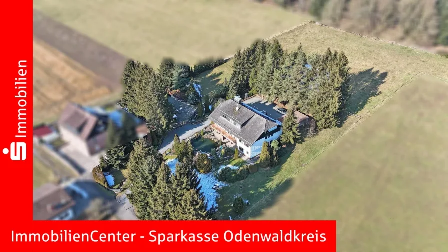 Titelbild - Haus kaufen in Erbach - Herrschaftliches Anwesen in sonniger Südhanglage – ein Paradies für Naturliebhaber und Pferdefreunde