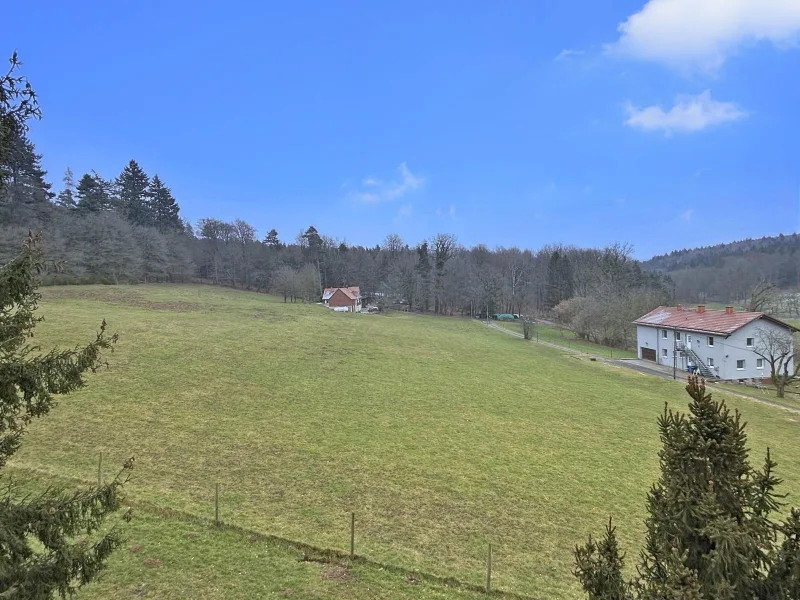 Ausblick vom Balkon