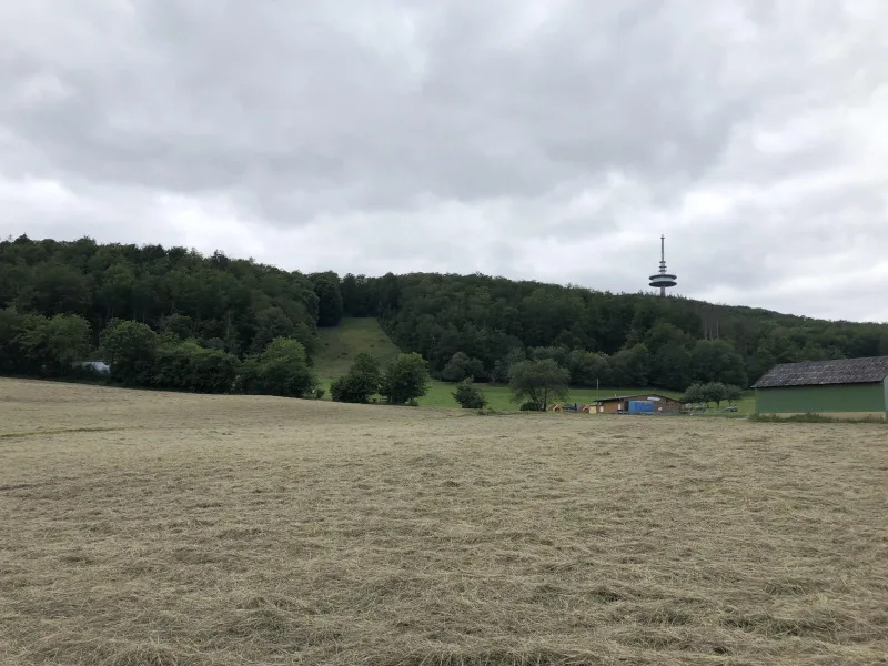 Panoramablick auf das "Hohe Lohr"