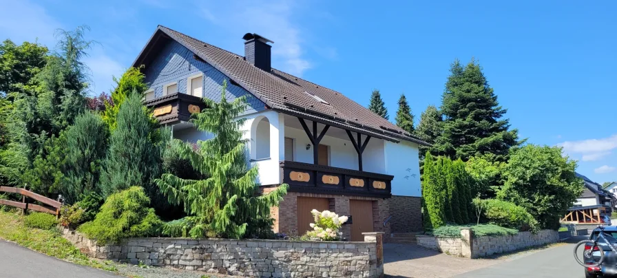 Ansicht von der Straße - Haus kaufen in Hallenberg - Die Idylle auf dem Lande!