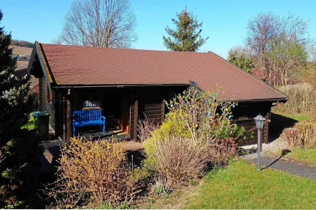 Ansicht - Haus kaufen in Diemelsee - Äußerst gepflegtes Ferienhaus im bezugsfertigen Zustand - hier kann der Urlaub direkt starten