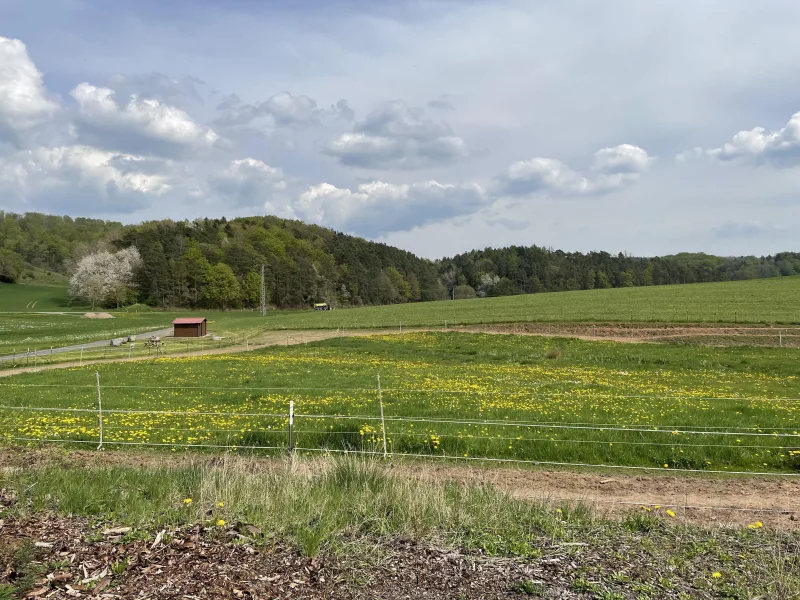 Pferdekoppel und Ausblick