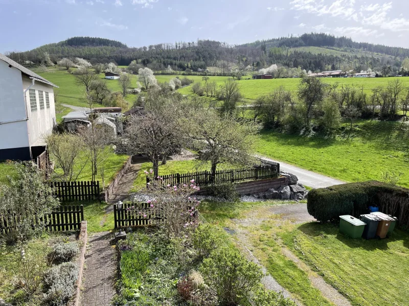 Blick aus dem Fenster in den Garten