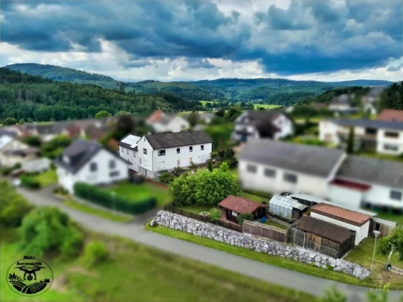 Aussicht und Blick auf den Wald