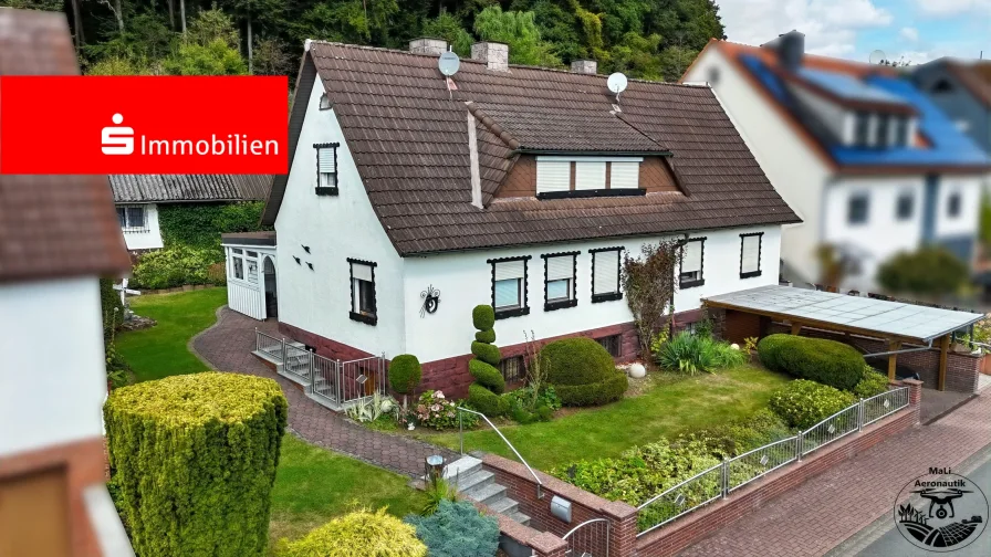 Hauseingang - Haus kaufen in Burgwald - Einfamilienhaus in idyllischer Lage von Burgwald-Ernsthausen