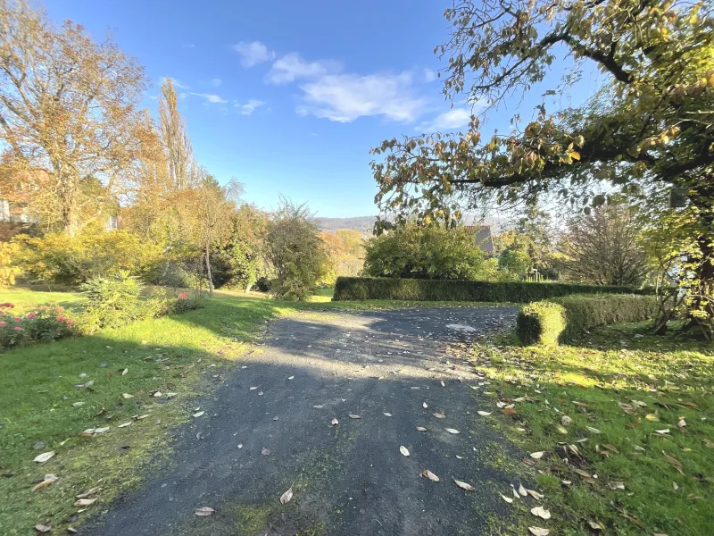 Blick in den Garten