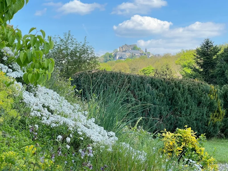 Burgblick