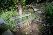 Treppenaufgang  Waldgrundstück