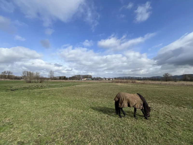 idylische Feldrandlage