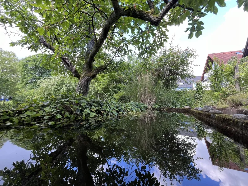 Gartenteich