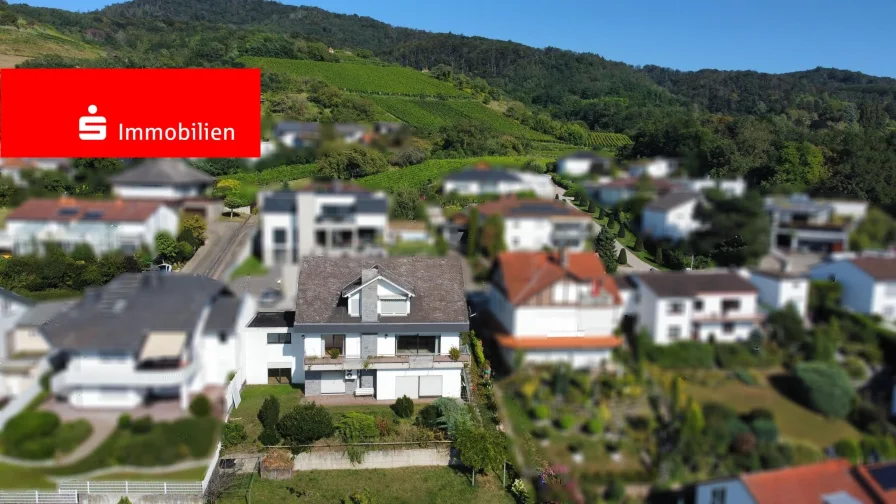 Luftaufnahme - Haus kaufen in Zwingenberg - Repräsentative Lage mit phantastischem Ausblick