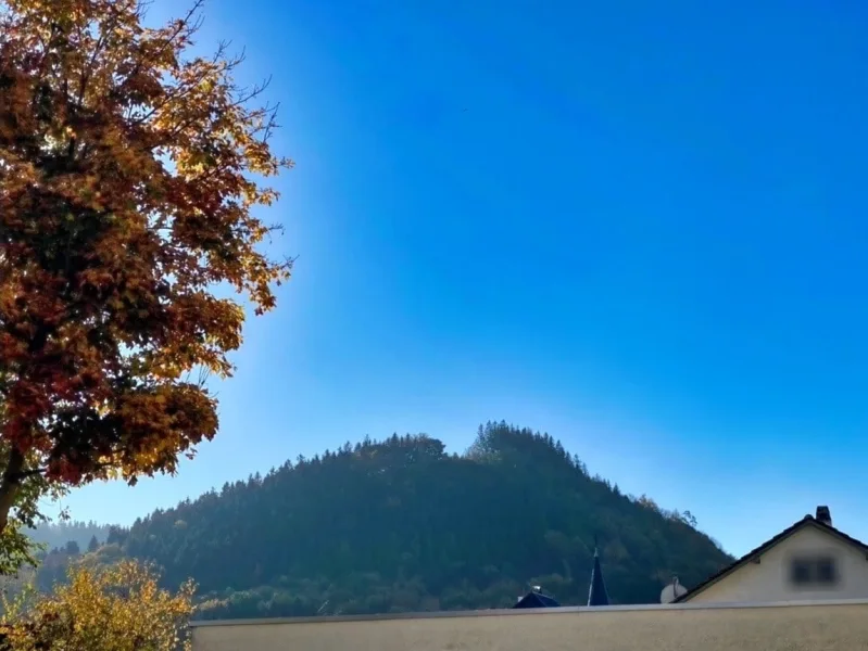 Blick zum Thüringer Wald