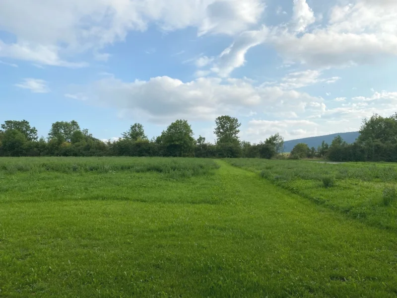 Grünland/Landwirtschaftsfläche