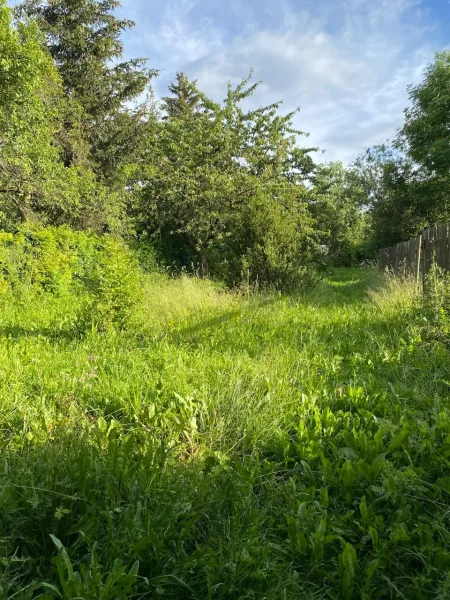 Gartenbereich hinter der Scheune