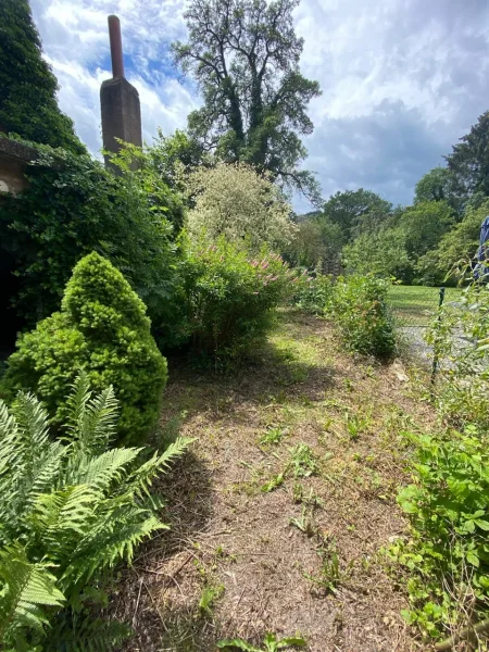 Garten vorderer Bereich