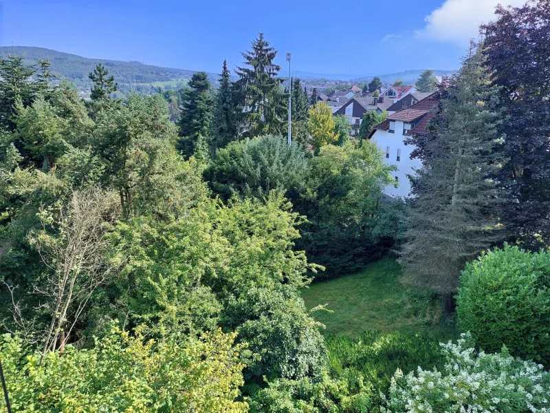 Blick vom Balkon über den riesigen Garten