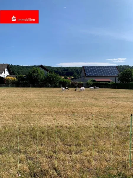 Flurstück 104 - Grundstück kaufen in Ottrau - Bauen und Leben am Ortsrand im Schwälmer Land!