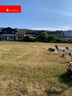 Flurstück 105 - Grundstück kaufen in Ottrau - Bauen und Leben am Ortsrand im Schwälmer Land!