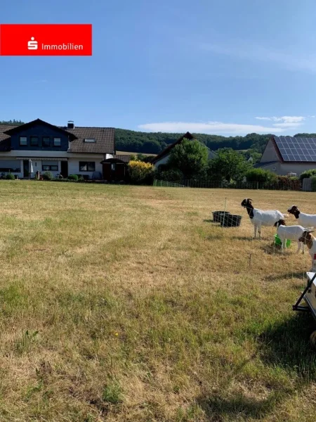 Flurstück 105 - Grundstück kaufen in Ottrau - Bauen und Leben am Ortsrand im Schwälmer Land!