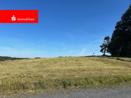 Blick auf das Grundstück - Grundstück kaufen in Ottrau - Bauen Sie Ihr neues Haus in ruhiger Wohnlage von Ottrau im südlichen Schwalm Eder Kreis!