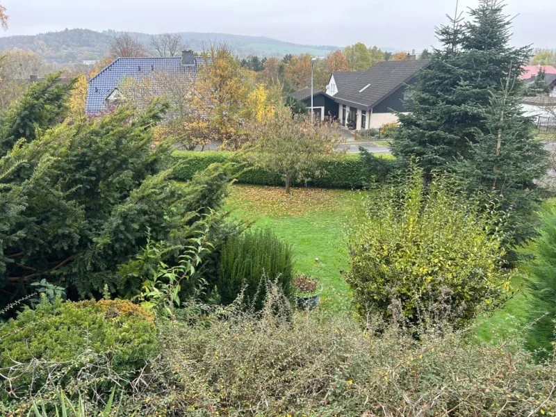 Blick von der Terrasse auf das untere Grundstück