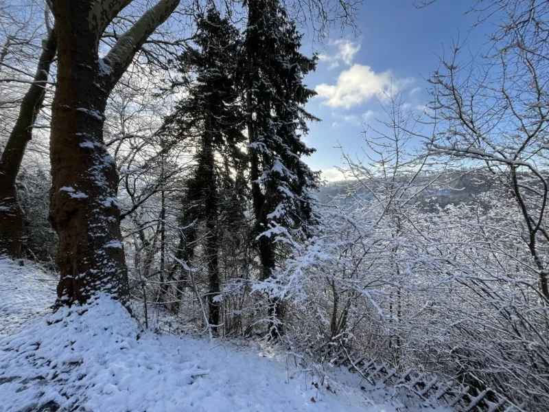 Zuwegung der oberen Straße