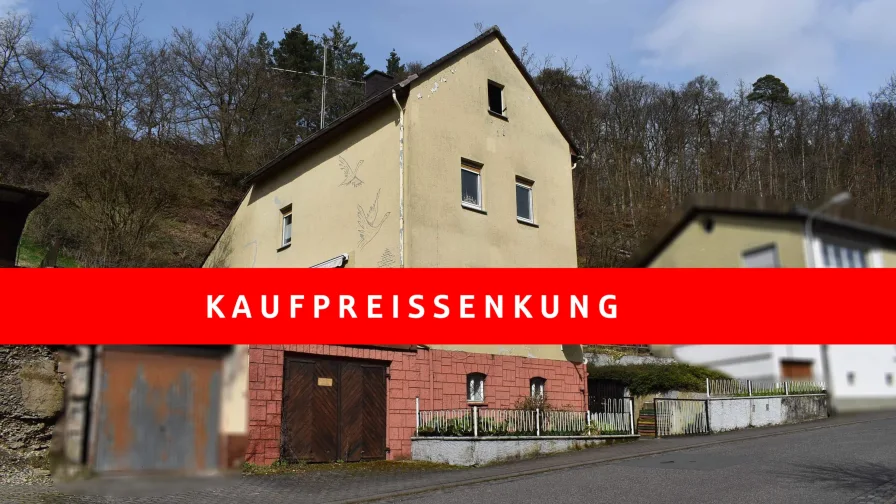 Außenansicht - Haus kaufen in Weilburg - Ein interessantes Immobilienangebot in Weilburg ++ Drommershausen  ++