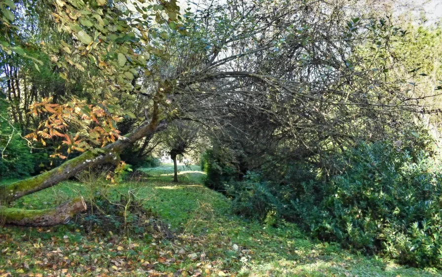 naturvoller Garten