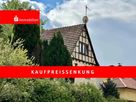 Seitenansicht - Haus kaufen in Wutha-Farnroda - Naturnahes Wohnen in ehemaligen Mühlengebäude zwischen den Hörselbergen und Rennsteig