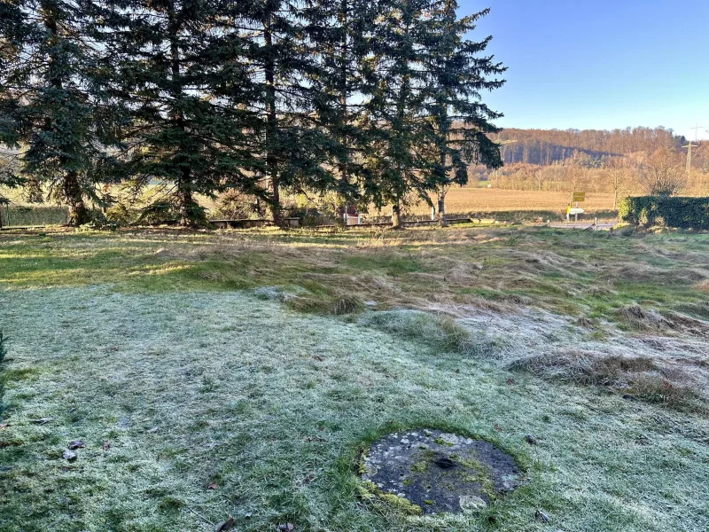 Blick Richtung Wald