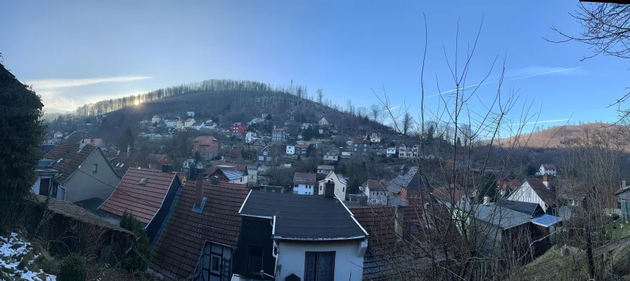 Panorama Blick über Ruhla