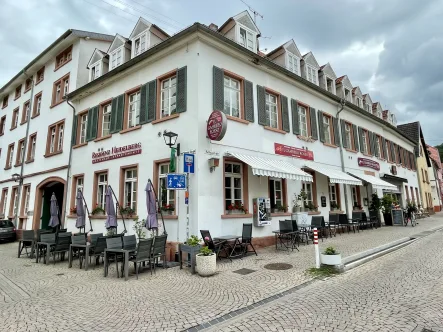  - Gastgewerbe/Hotel mieten in Heidelberg - Seltene Gelegenheit: Etabliertes Restaurant in historischem Gebäude