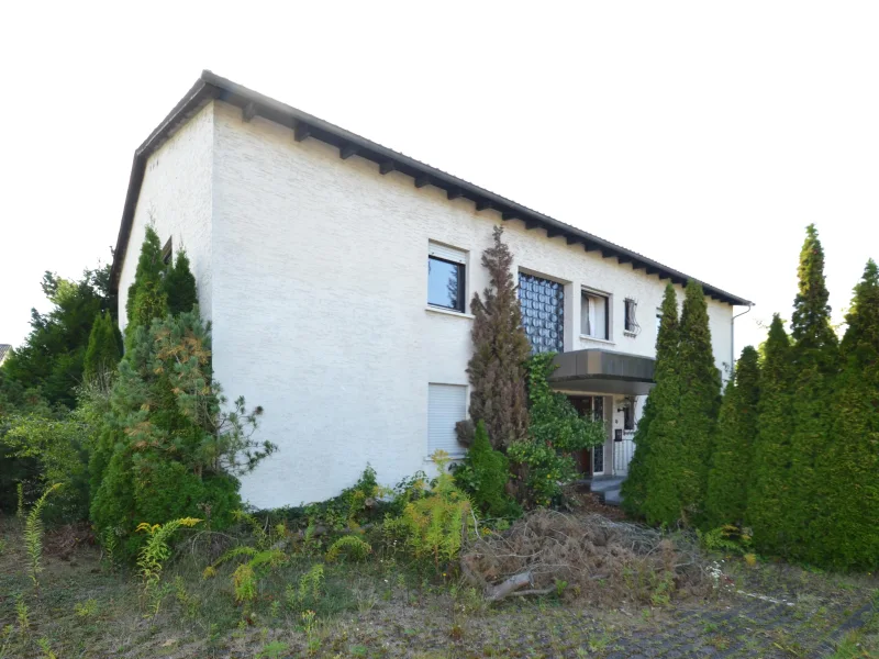 Straßenansicht - Haus kaufen in Schwalmstadt - Vielfältig nutzbare Immobilie am Rande von Schwalmstadt